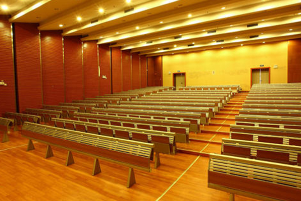 【多功能報告廳、劇院】GRG板材/石膏板吊頂木紋漆裝修方案...